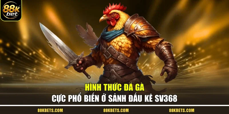 Hình thức đá gà cực phổ biến ở sảnh đấu kê SV368