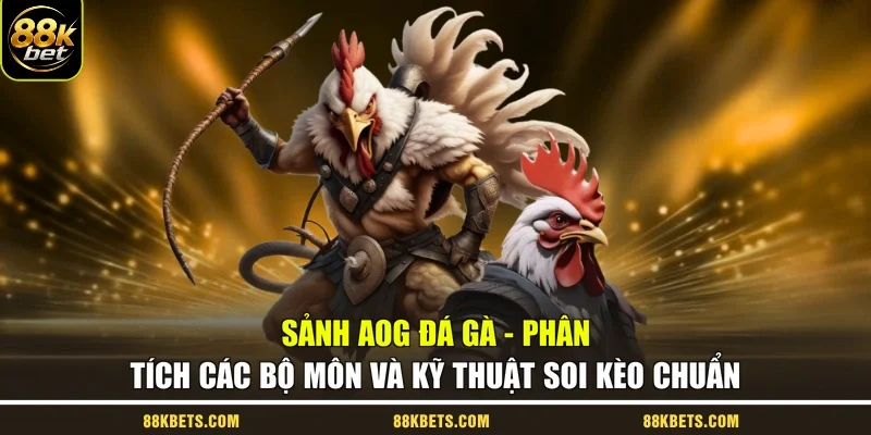 Sảnh Aog Đá Gà - Phân Tích Các Bộ Môn Và Kỹ Thuật Soi Kèo Chuẩn