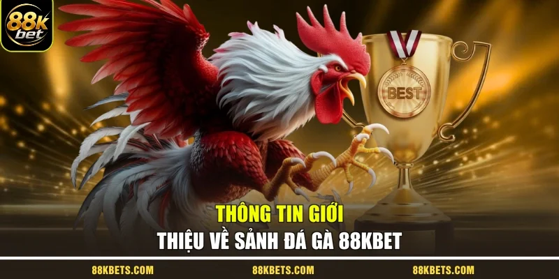 Thông tin giới thiệu về sảnh đá gà 88kbet